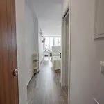 Sol Torrecilla 内尔哈
